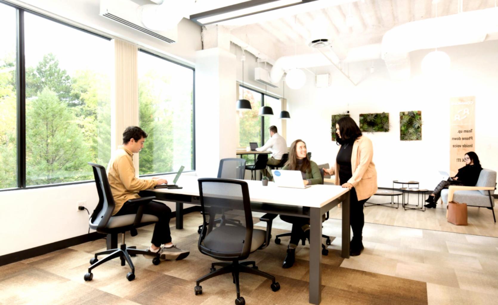 Профессиональная встреча с обсуждением бизнес-стратегии